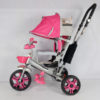 Anekadoo - Toko Mainan Sepeda Roda Tiga Family F-8101 Pink di Kota Probolinggo