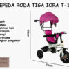 Anekadoo - Toko Mainan Sepeda Roda Tiga Iora T-11, Tricycle, Sepeda Anak, Pink di kota Probolinggo